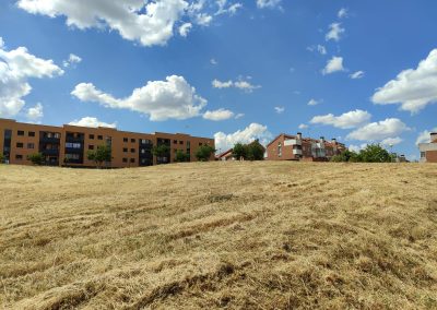 Desbroce de parcelas en Salamanca con maquinaria profesional