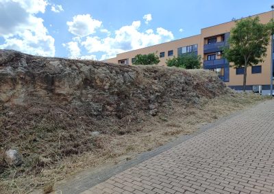 Limpieza de caminos rurales en Salamanca para garantizar la accesibilidad