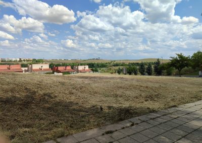 Mantenimiento forestal en Salamanca con servicios de desbroce especializados