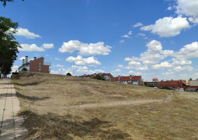 Desbroce de fincas en Salamanca para mejorar la productividad del suelo