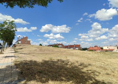 Eliminación de maleza en Salamanca para prevención de incendios