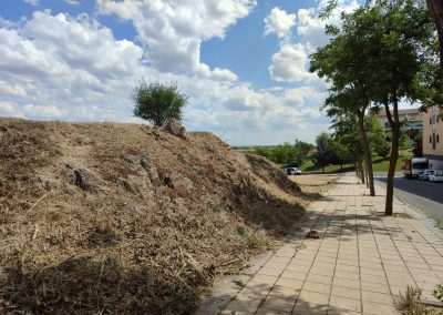 Limpieza de parcelas en Salamanca para proyectos agrícolas y residenciales