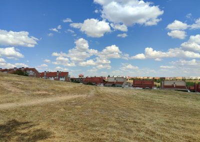 Desbroce de terrenos en Salamanca con maquinaria avanzada y eficiente