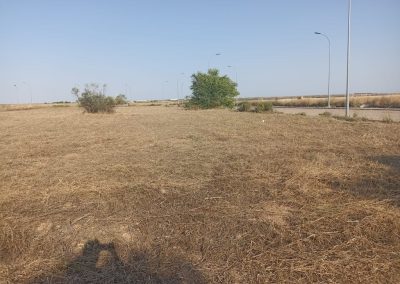 esbroce de parcelas en Villarrubia con atención al medio ambiente y calidad garantizada