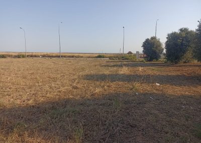 Desbroce de maleza en Villarrubia para prevención de incendios y cuidado del entorno