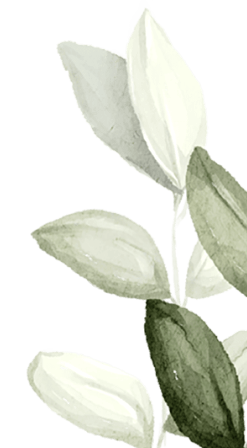 Servicios de desbroces profesionales: limpieza de terrenos, control de vegetación y mantenimiento con maquinaria especializada. Rápido, eficaz y económico. ¡Contáctanos hoy